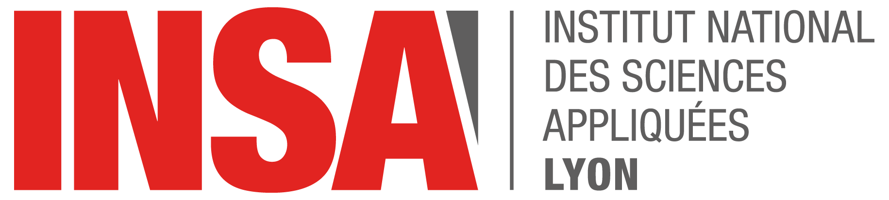 Institut National des Sciences Appliquées de Lyon (INSA), Lyon, France